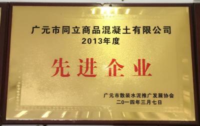 2013年度******企业